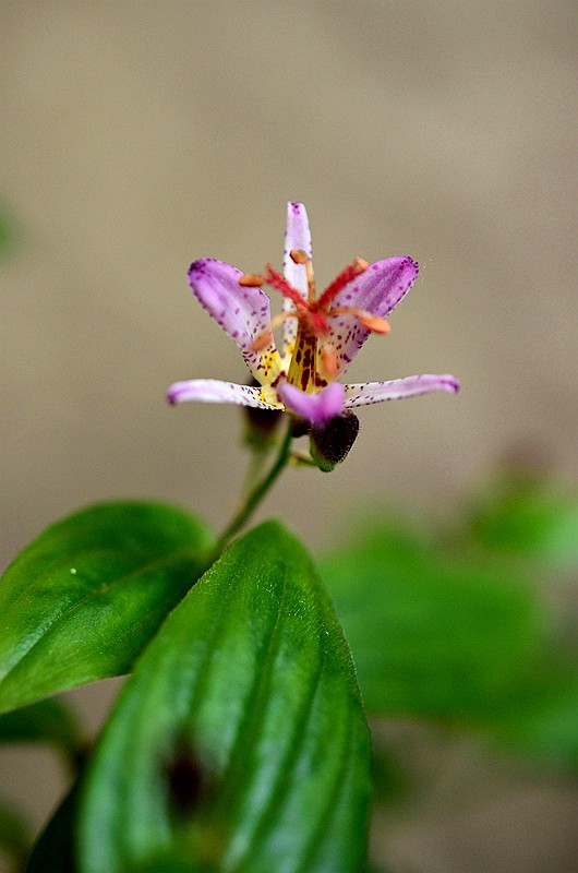 �ٺϿ�TW�͵�� (9).JPG