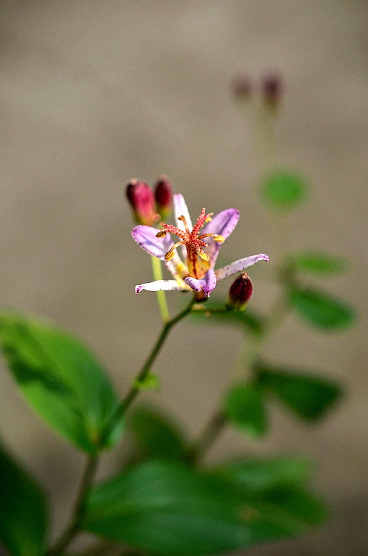 �ٺϿ�TW�͵�� (10).JPG