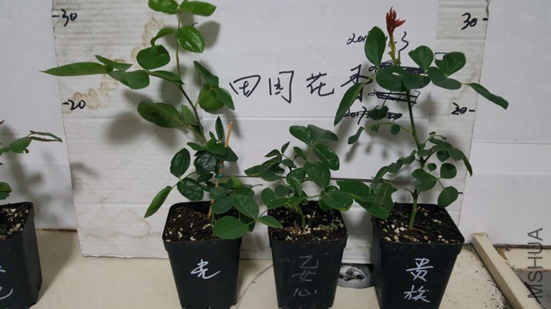 20171104_180234.jpg