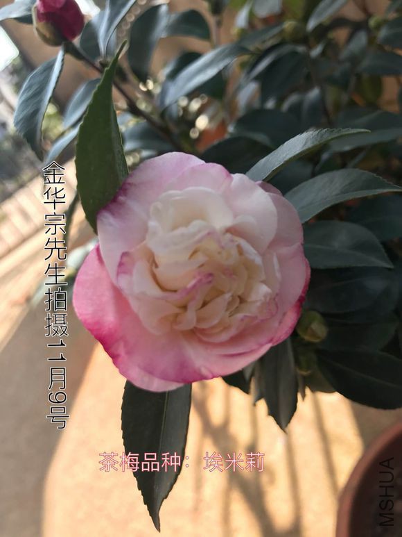 e628fb19367adab49a29b7f280d4b31c8601e4bd.jpg