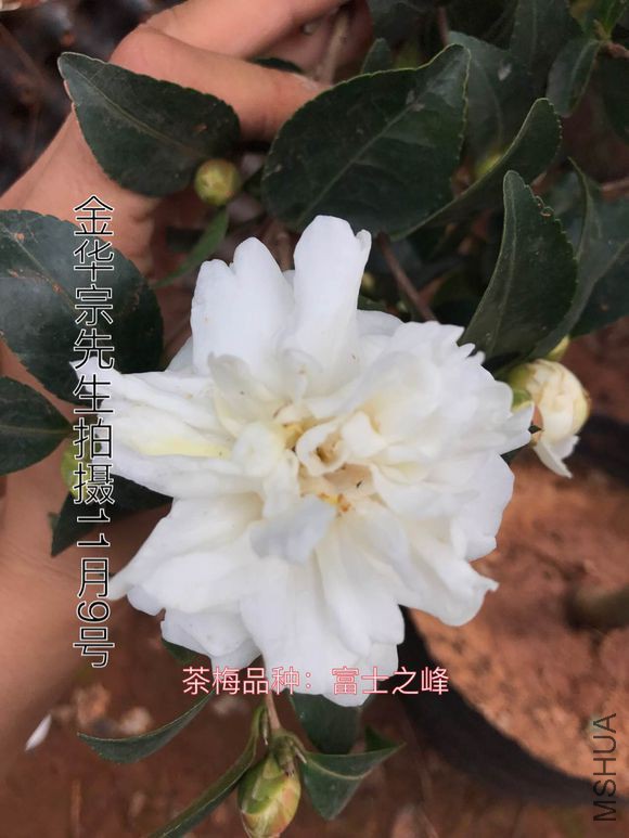 3b2ee8cbd1c8a786b0f0e3bf6c09c93d71cf505f.jpg