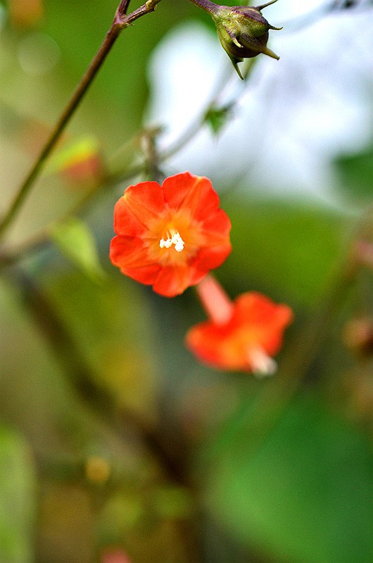 �����ƳȺ����� (2).JPG