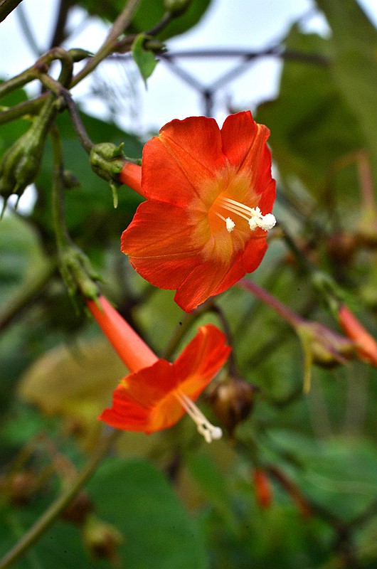 �����ƳȺ����� (4).JPG