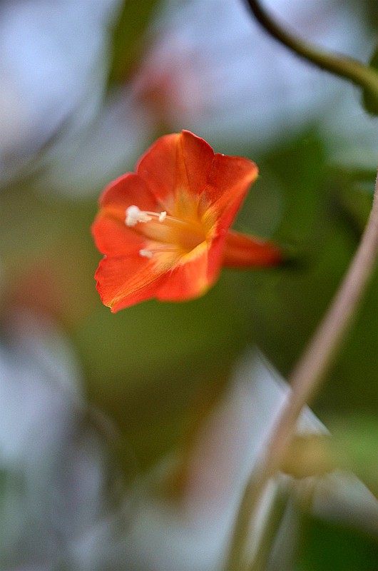 �����ƳȺ����� (5).JPG