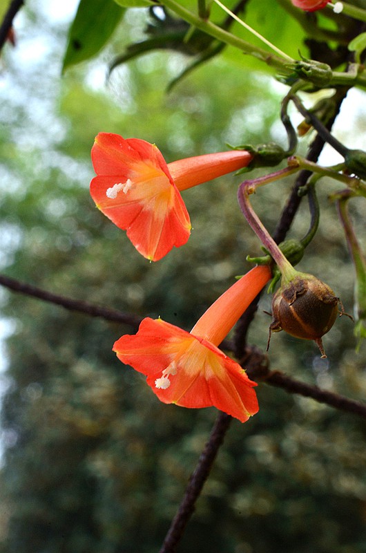 �����ƳȺ����� (9).JPG