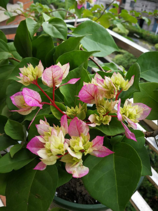 ���� 2017.10.18.JPG