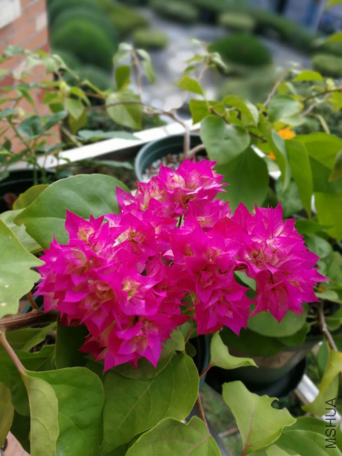 ���� 2017.11.10.jpg