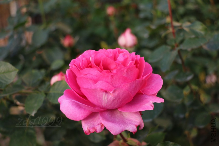 IMG_8876.jpg