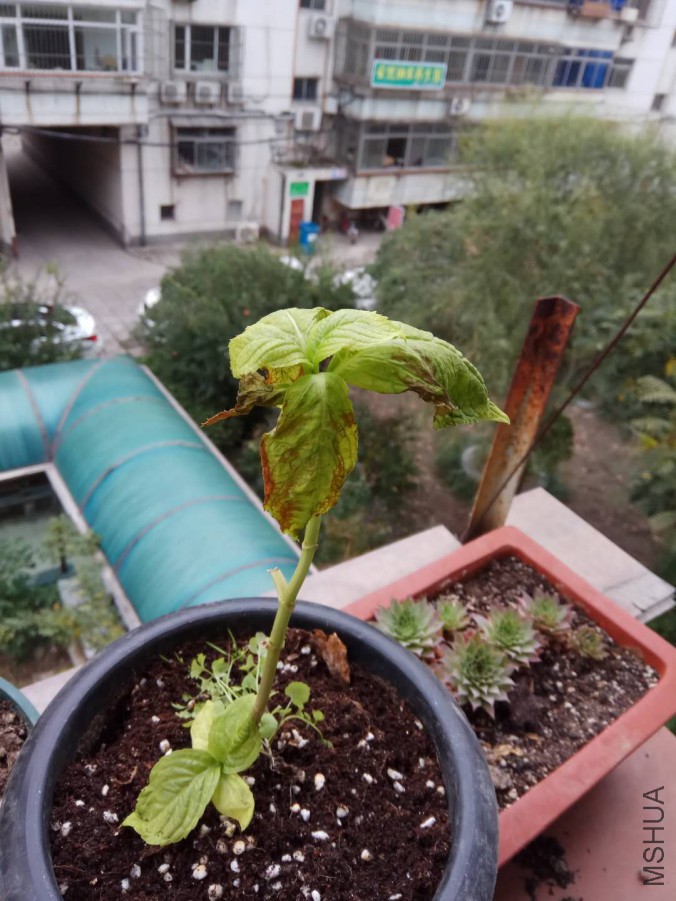 ΢��ͼƬ_20171113102736.jpg