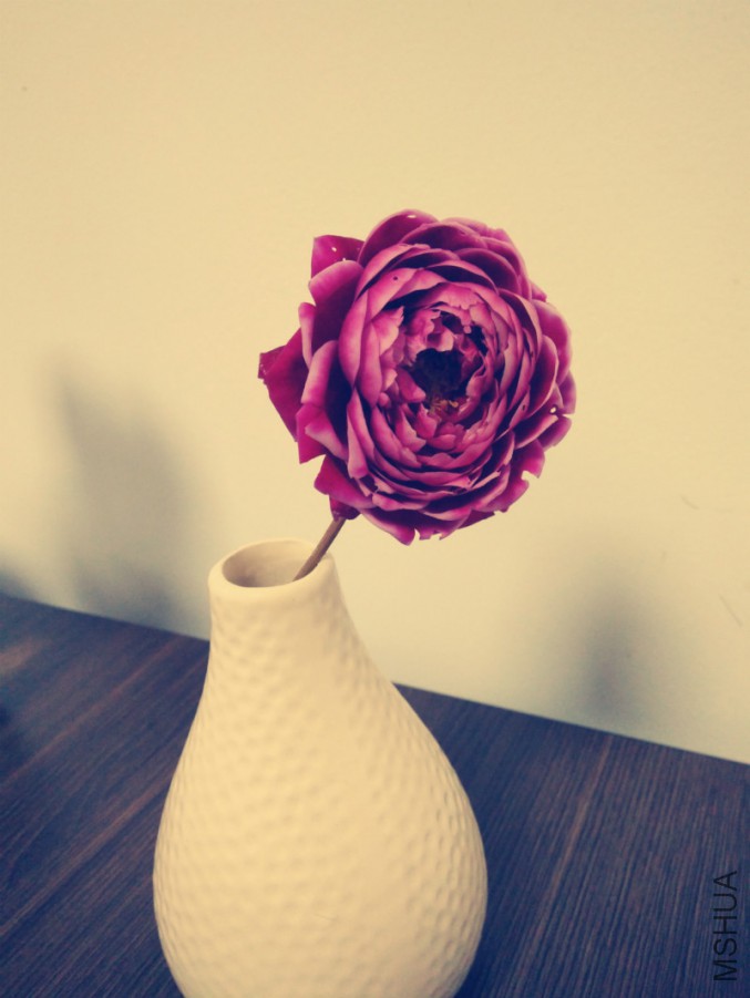 ΢��ͼƬ_20171114104326_meitu_4.jpg
