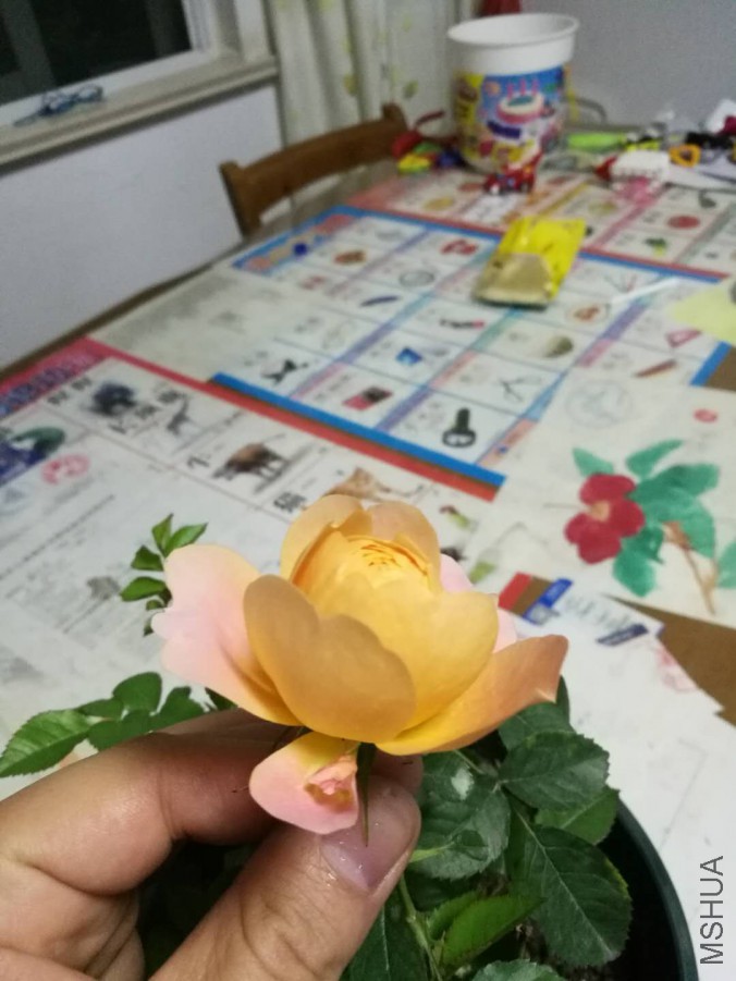 webwxgetmsgimg (3).jpg