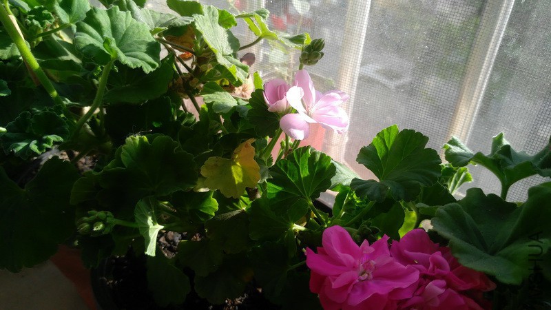 20171114_07.jpg