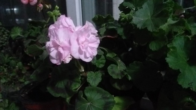 20171114_09.jpg