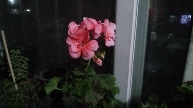 20171114_10.jpg