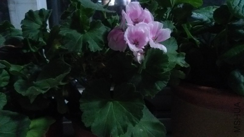 20171114_12.jpg