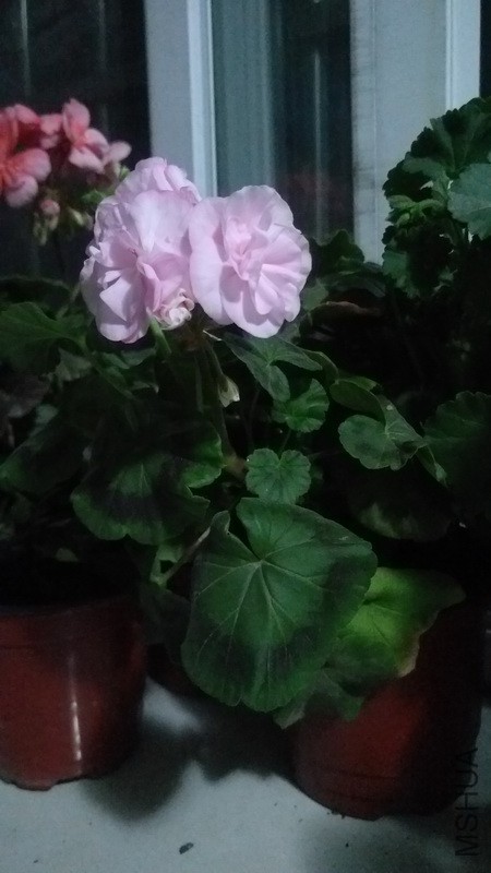 20171115_2.jpg