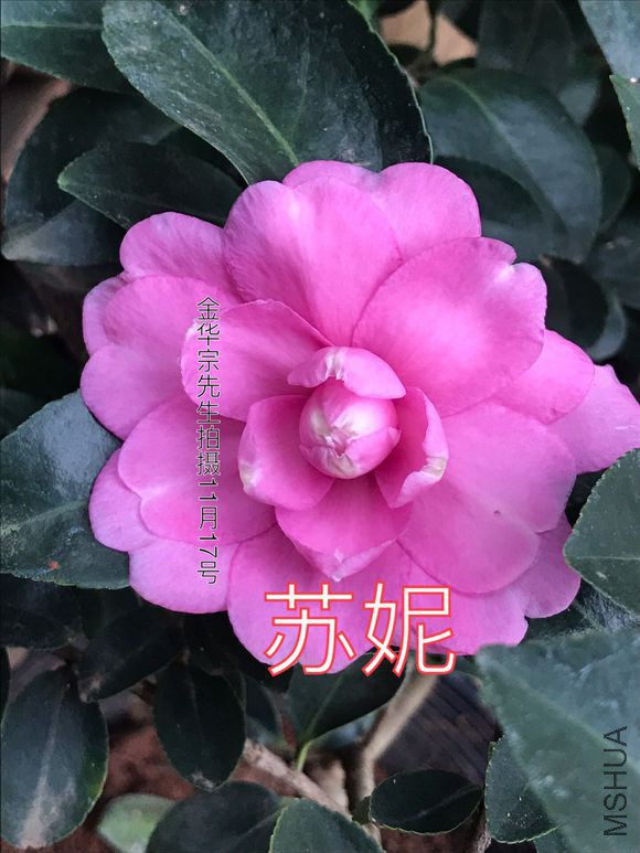 0026f783b9014a90c7d75d02a2773912b21bee52.jpg