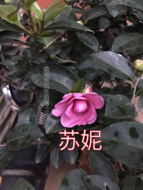 adefe183d158ccbfba55ae8512d8bc3eb0354152.jpg