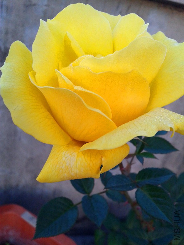 20150123_072809.jpg