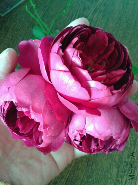 bb0a9b2097931b6d234e_w300X400_w196X261.jpg