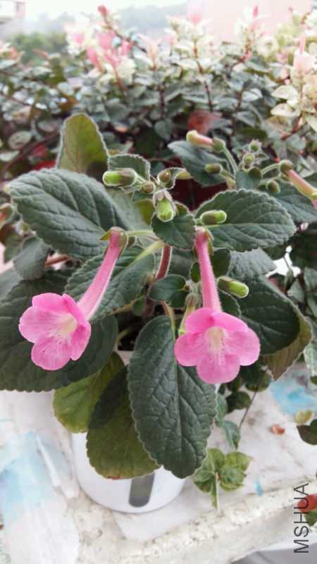 20171115_073539.jpg