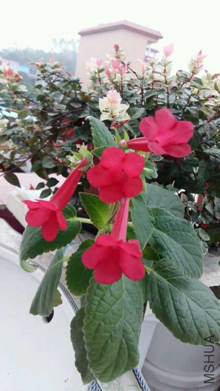20171115_073350.jpg