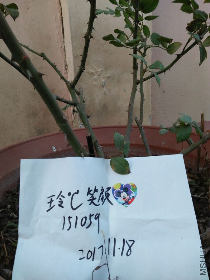 �¶�