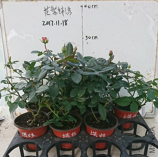 ŵ��11 7.jpg