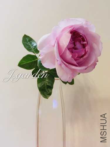 9074F16F-5BBD-4DE5-A5FB-0C5089C3D340.jpeg