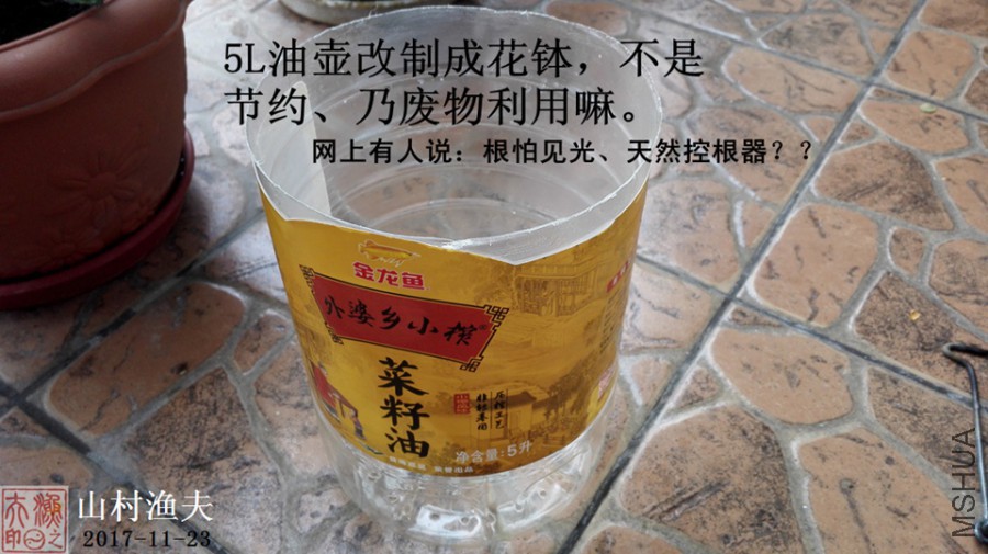 A1.jpg