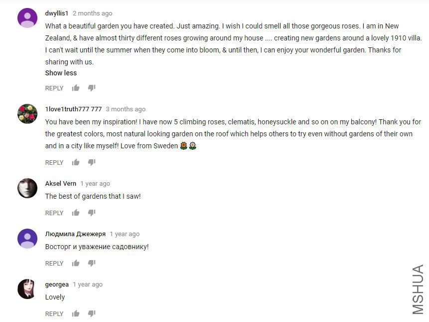 ����.JPG