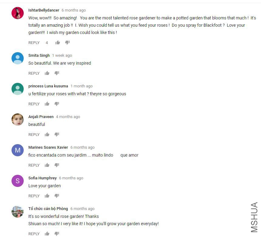 ����1.JPG
