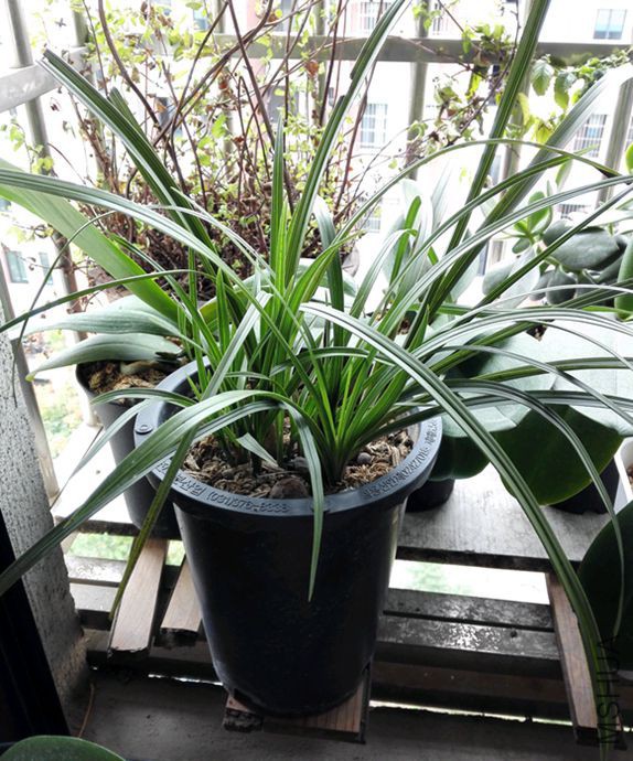 ���û������