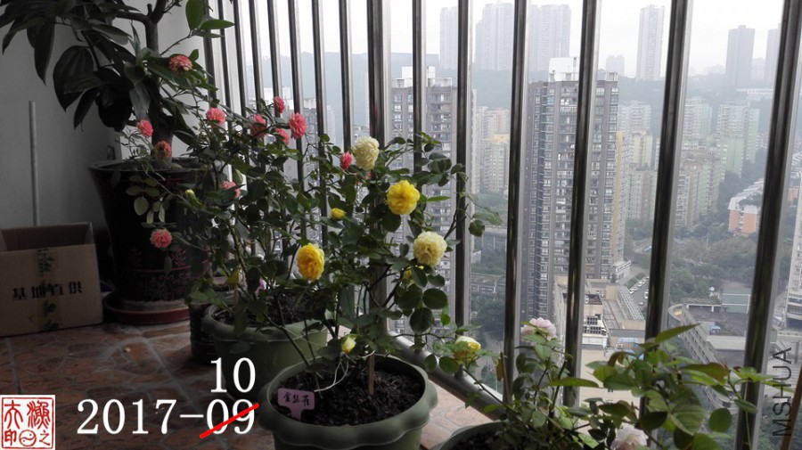 10B.jpg