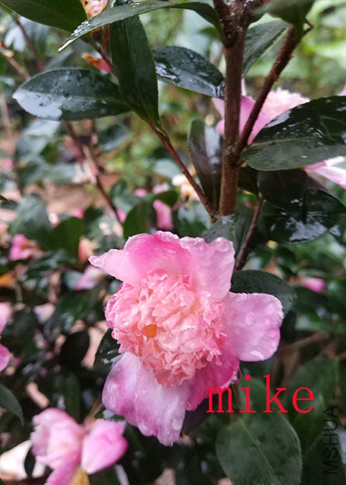 ��IMG_20171121_161901.jpg
