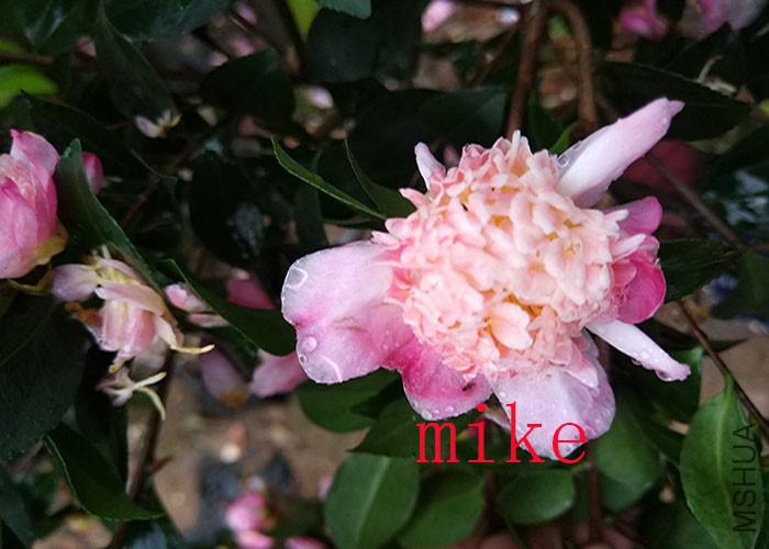��IMG_20171121_161954.jpg