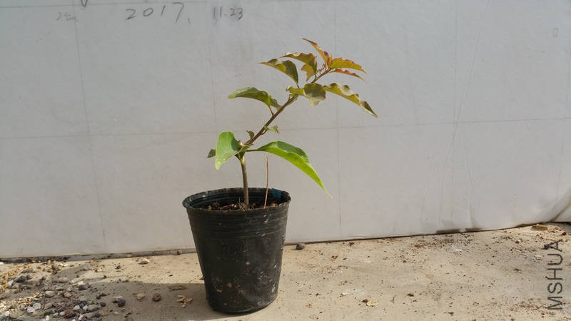 20171125_122449.jpg