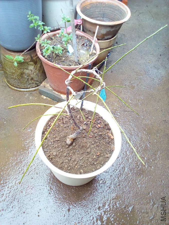 QQͼƬ20171126164830.jpg
