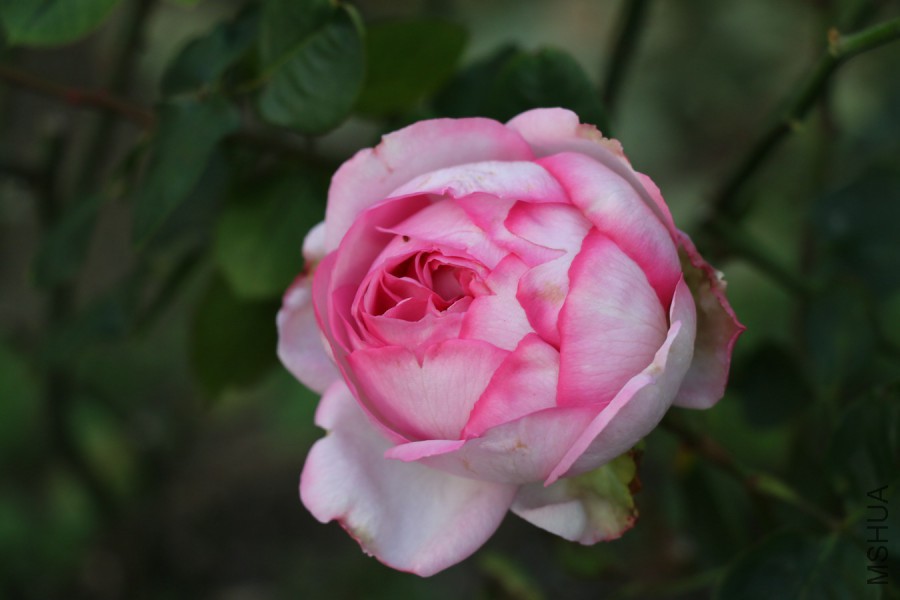 IMG_9000.jpg