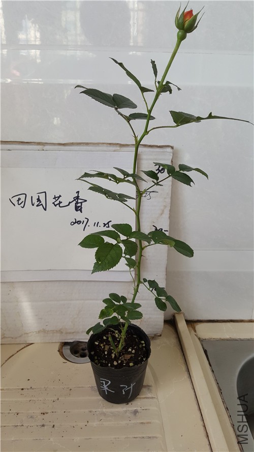 20171127_135923_����.jpg