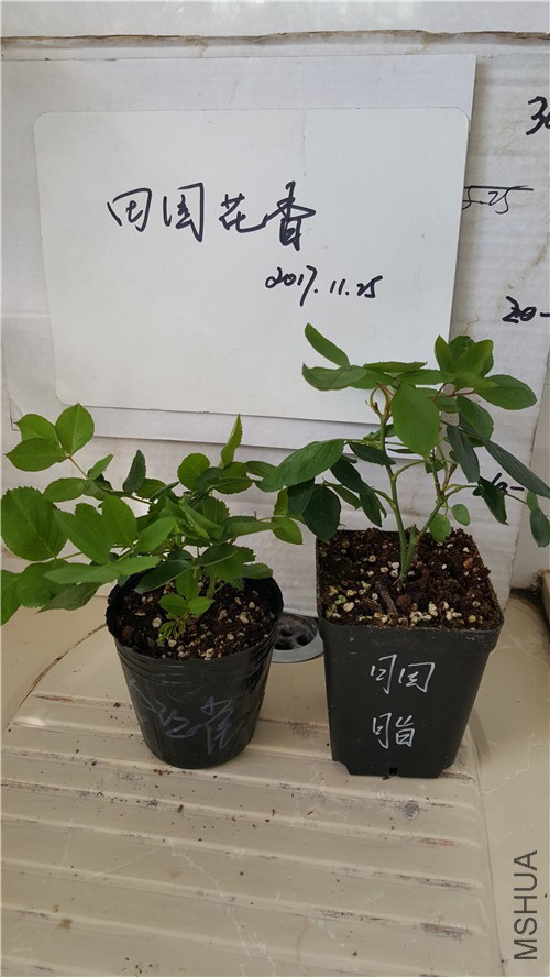 20171127_135859_����.jpg