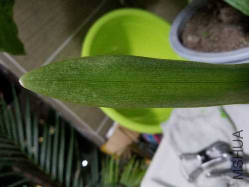 20171127_185131.jpg
