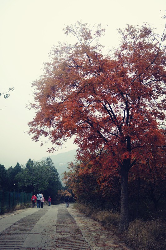 DSCN3493_����.jpg
