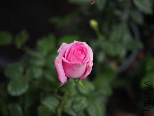 PB173886.JPG