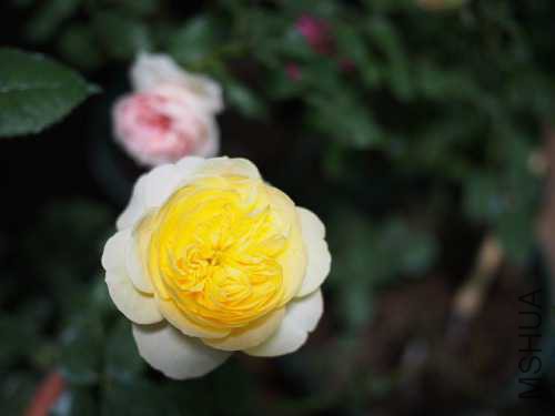PB173881.JPG