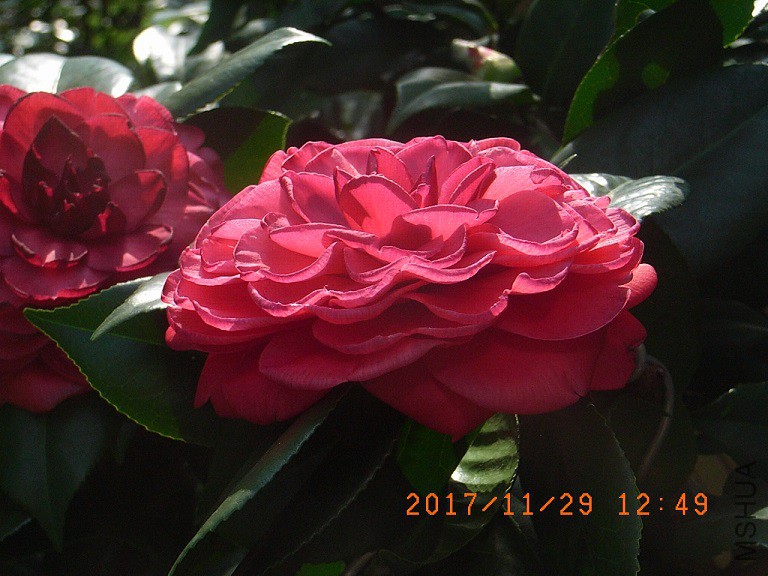 a5.jpg