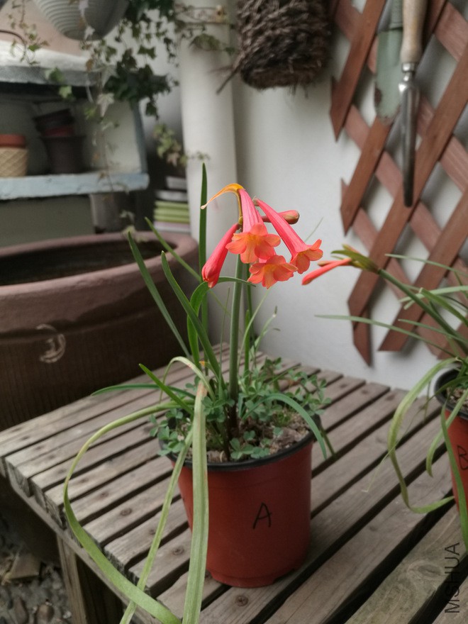 1-IMG_20171202_093025.jpg