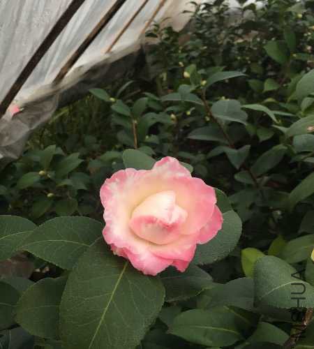 IMG_0751.JPG