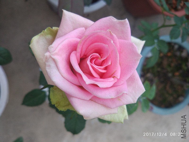 IMG_20171204_07.jpg