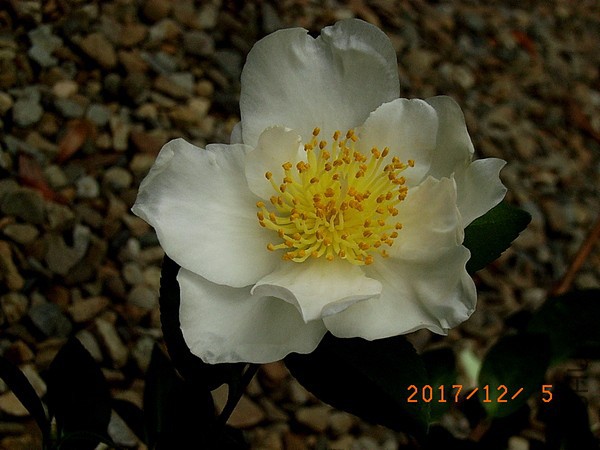 RIMG0024-1.jpg